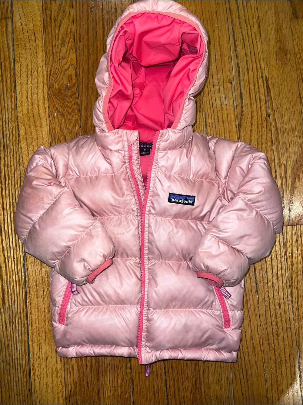 Patagonia 2T Baby Hi-Loft Down Sweater Hoody down puffer, winter jacket